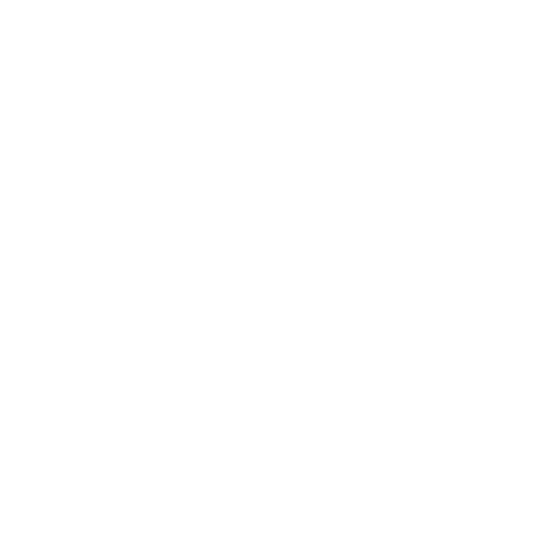 InstaIcon
