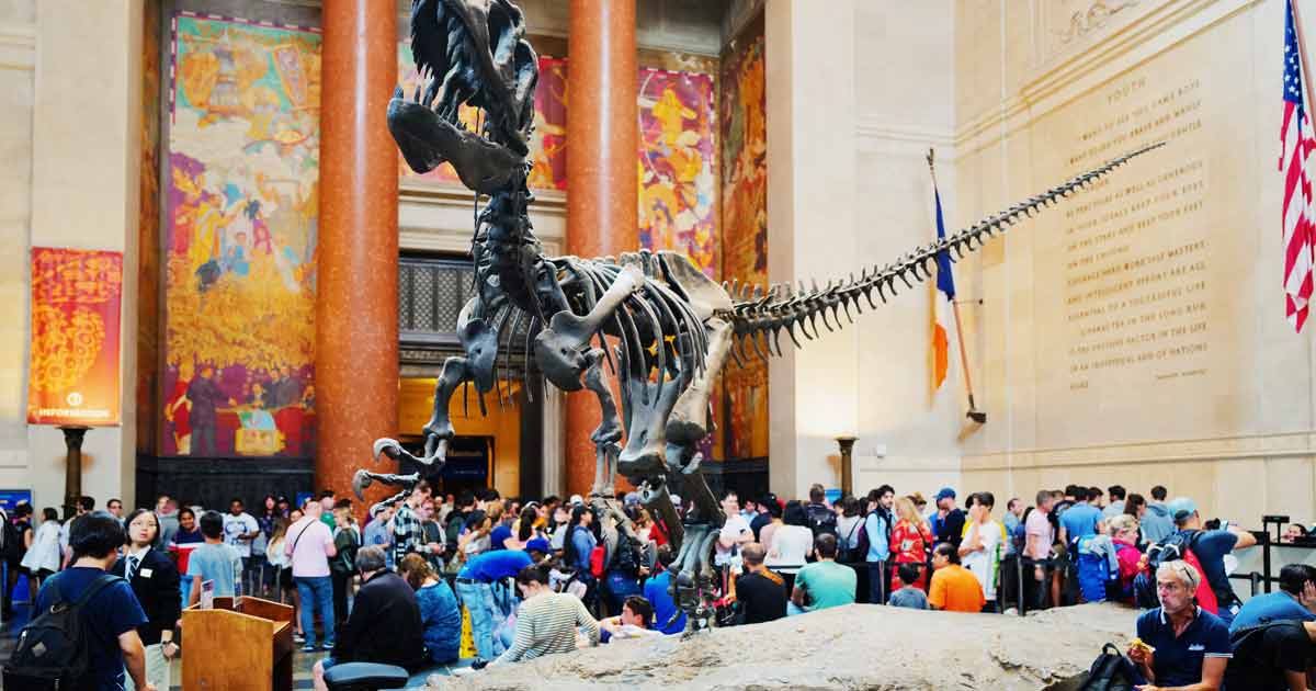 Tying Your Curriculum to Your Travel